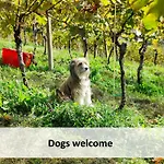 Vineyard Skatlar 2 * Srednje Grcevje