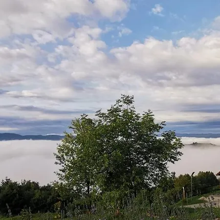 乡村民宿 Vineyard Skatlar 2 Srednje Grcevje