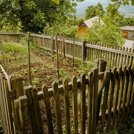Vineyard Skatlar 2 Venkovský dům