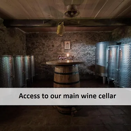 Vineyard Skatlar 2