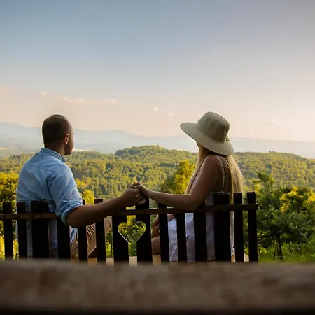 Vineyard Skatlar 2 乡村民宿 *