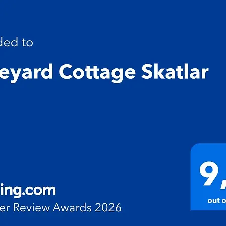 Vineyard Skatlar 2 Country house